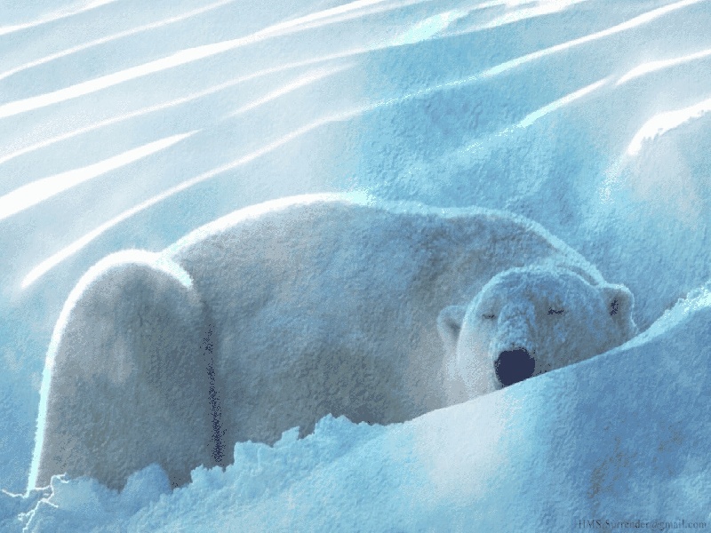 刘女士成功案例